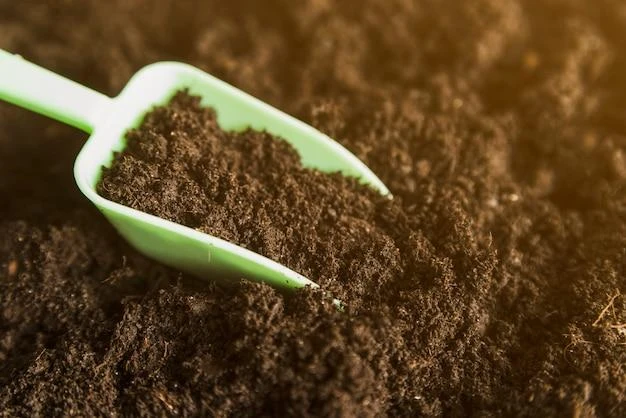 Imagem ilustrativa de Bactérias para compostagem
